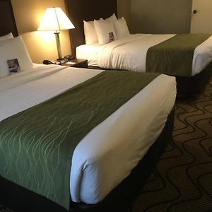 Standard Room 2 Queen Beds Pool View Non Smoking